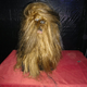 Image for article titled This is the worst Star Wars exhibition ever